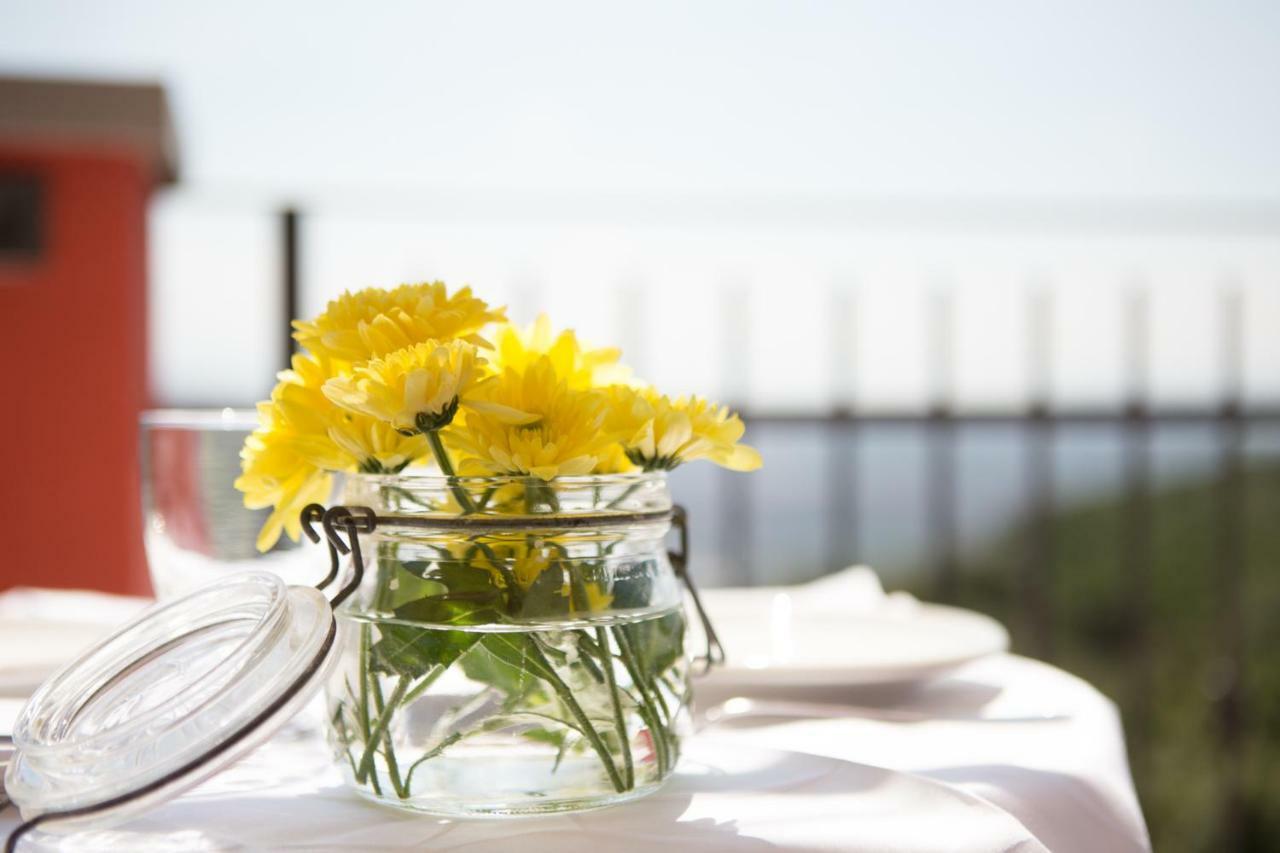 B&B Spring Pérouse Extérieur photo